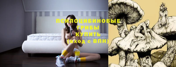 МДПВ Горно-Алтайск