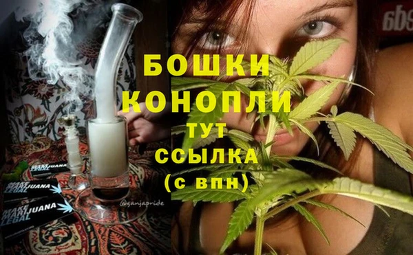 PSILOCYBIN Гусев