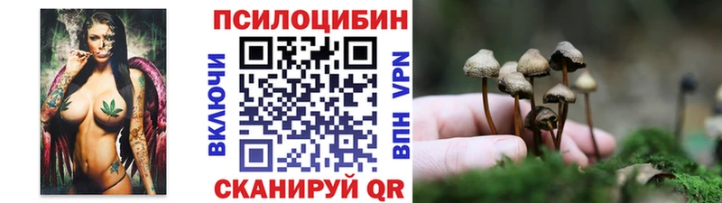 Купить  Лабытнанги  Псилоцибиновые грибы Magic Shrooms 